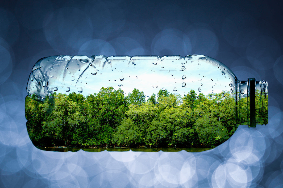 3 choses à savoir sur les bouteilles d’eau biodégradables